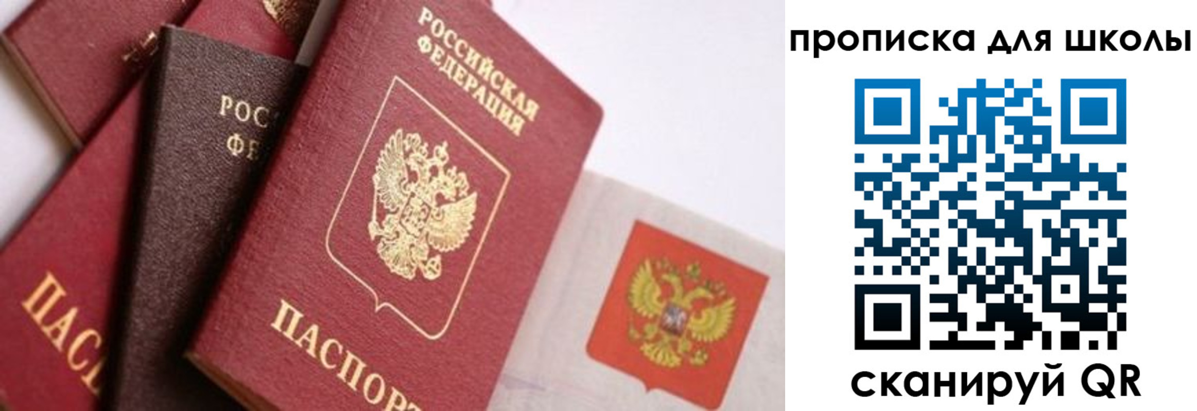 прописка гарантия в Твери